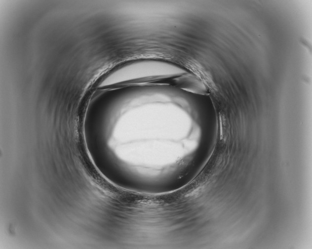 X0000095920300200802011219