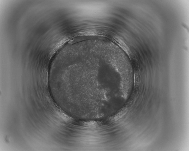 X0000095920301200802011219