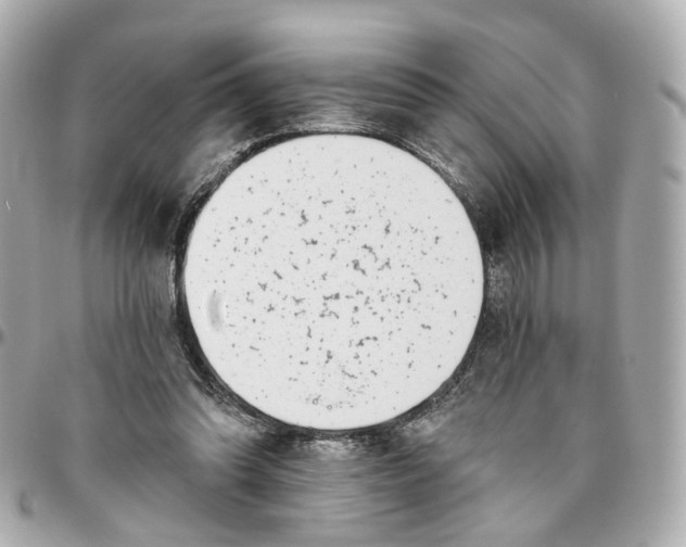 X0000095920302200802011219