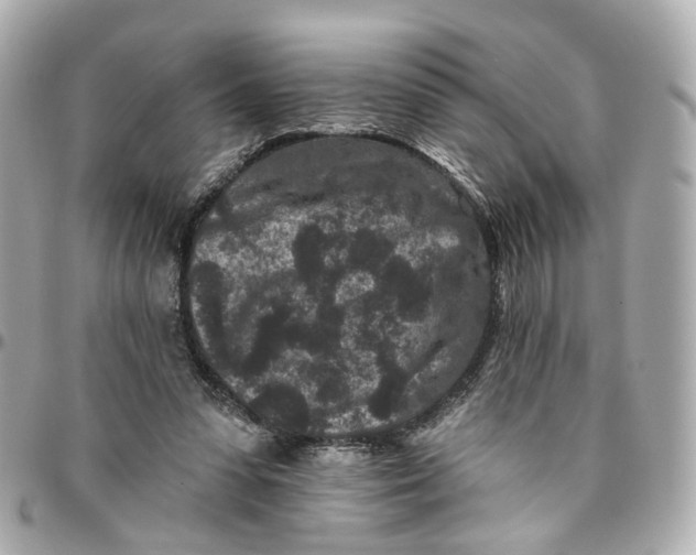 X0000095920303200802011219