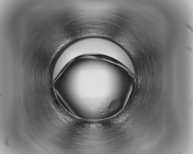 X0000095920304200802011219