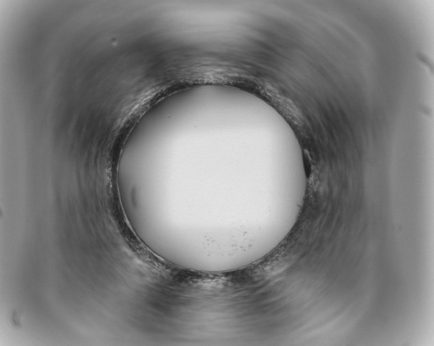 X0000095920306200802011219