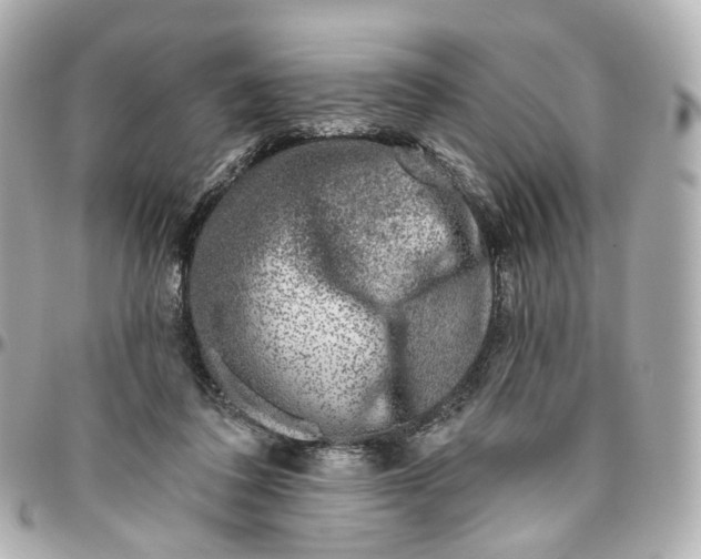 X0000095920308200802011218