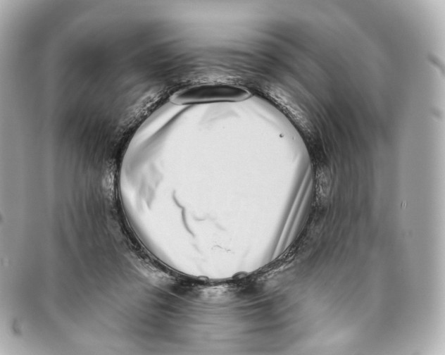 X0000095920309200802011218