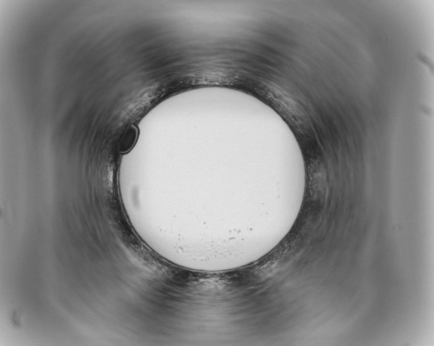 X0000095920310200802011218