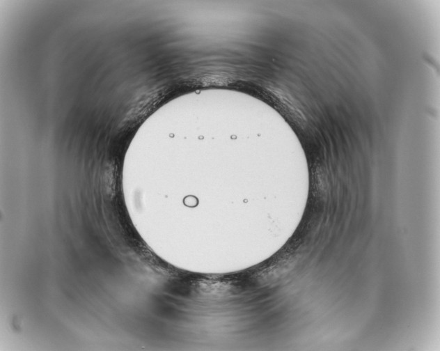 X0000095920311200802011218