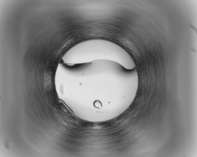 X0000095920312200802011218