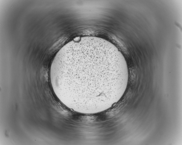 X0000095920313200802011218