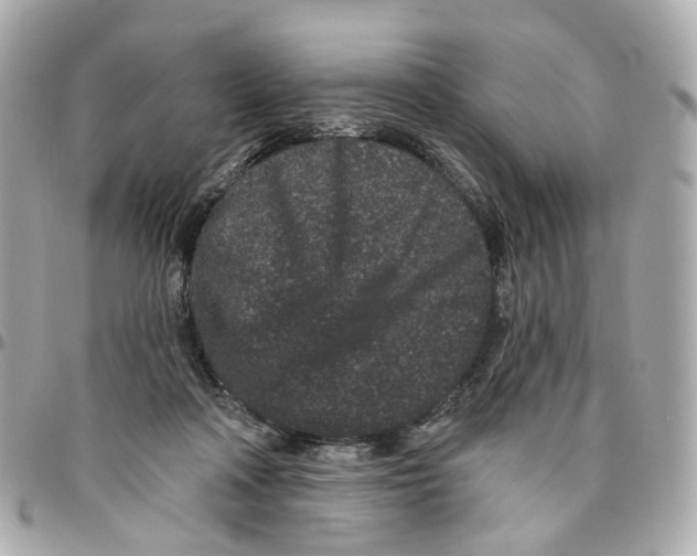 X0000095920314200802011218