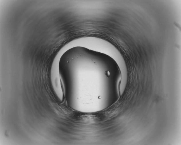 X0000095920316200802011218