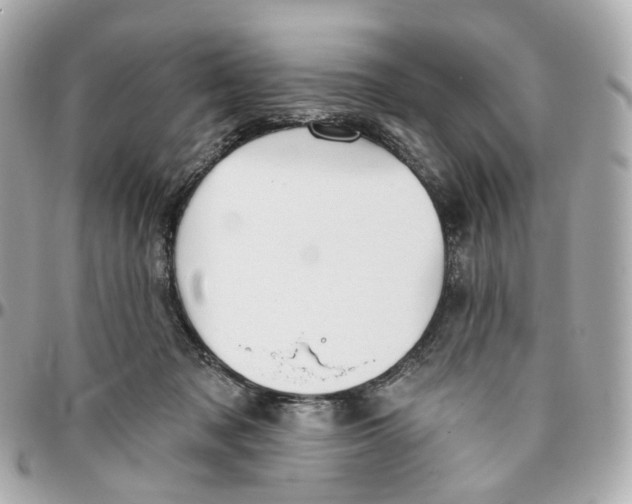 X0000095920317200802011218