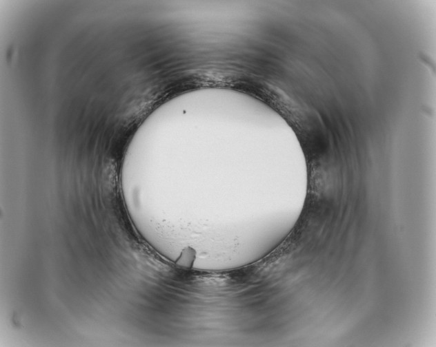 X0000095920318200802011218