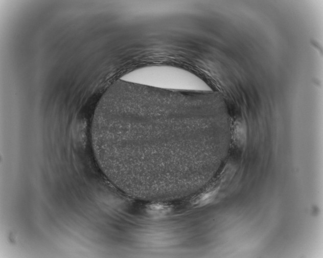 X0000095920319200802011218