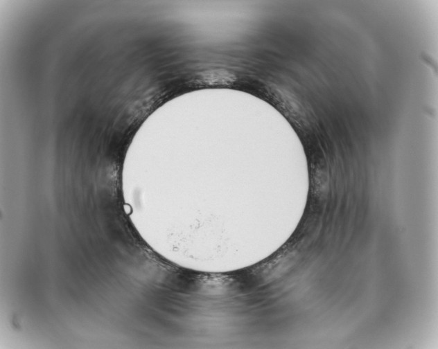 X0000095920321200802011218