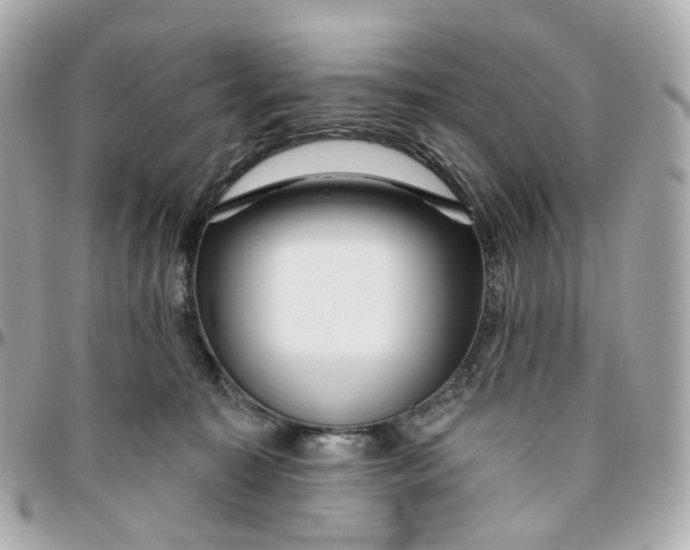 X0000095920323200802011218