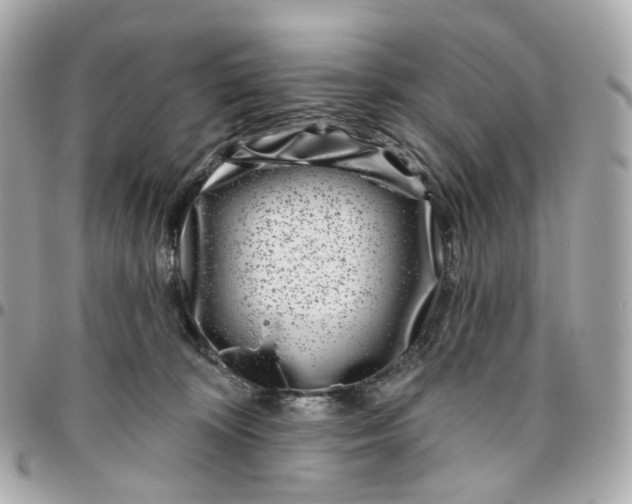 X0000095920324200802011218