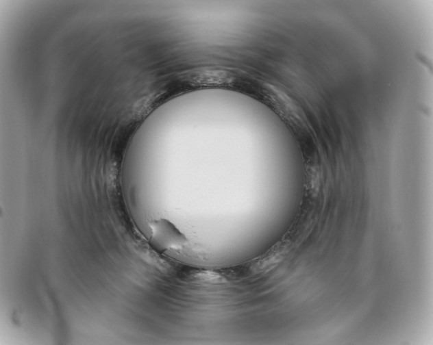 X0000095920326200802011218