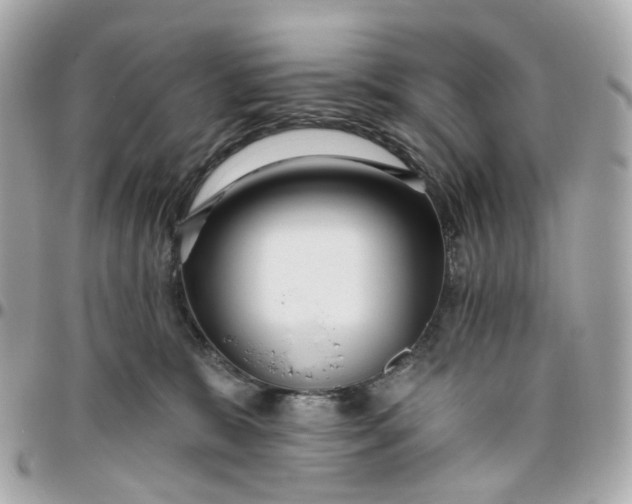 X0000095920327200802011218