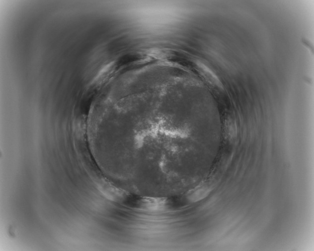 X0000095920328200802011218