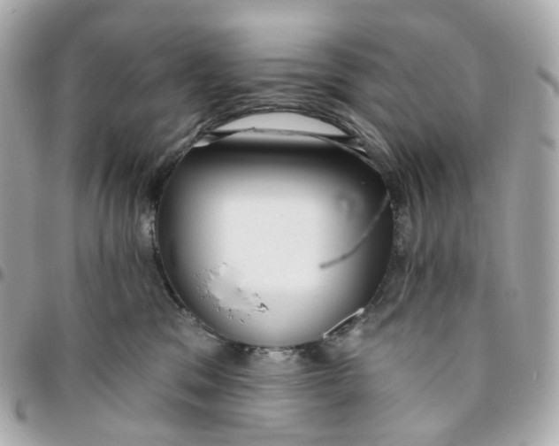 X0000095920329200802011218