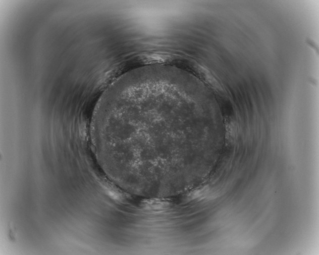 X0000095920331200802011218