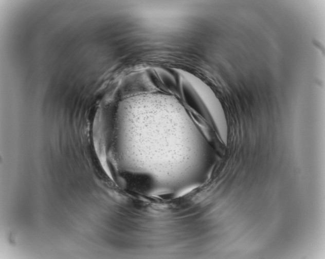 X0000095920332200802011218