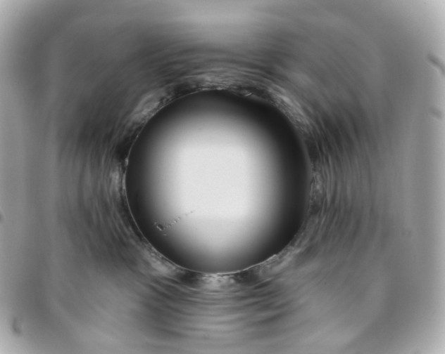 X0000095920333200802011218