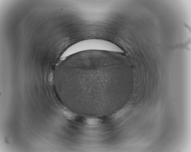 X0000095920336200802011218