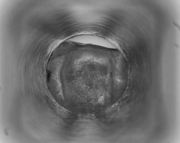 X0000095920337200802011217