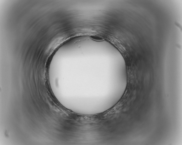 X0000095920338200802011217