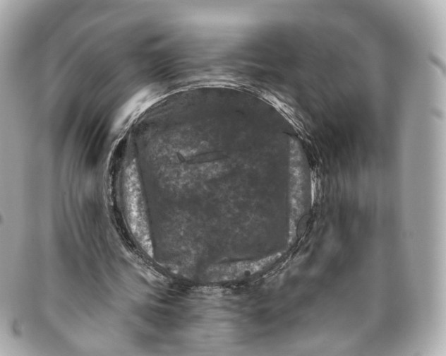 X0000095920339200802011217