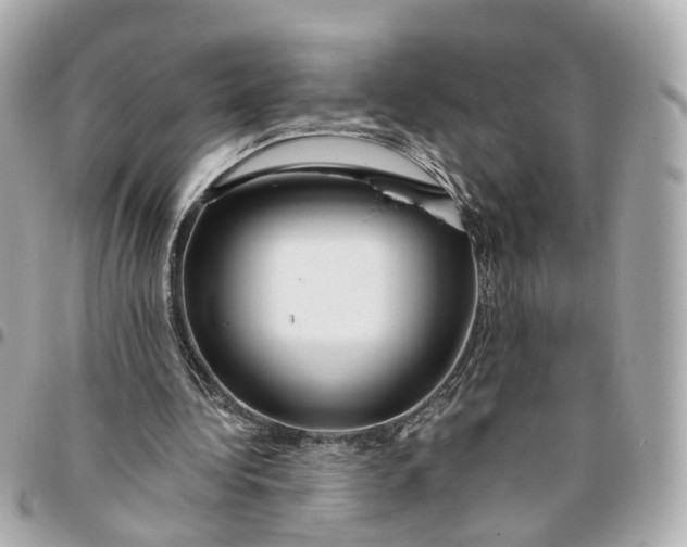 X0000095920340200802011218