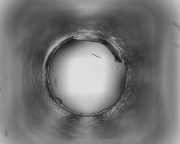 X0000095920342200802011218