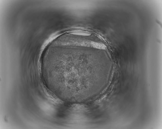 X0000095920343200802011218