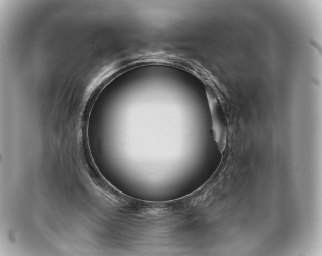 X0000095920344200802011218