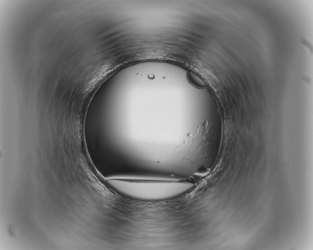 X0000095920345200802011218