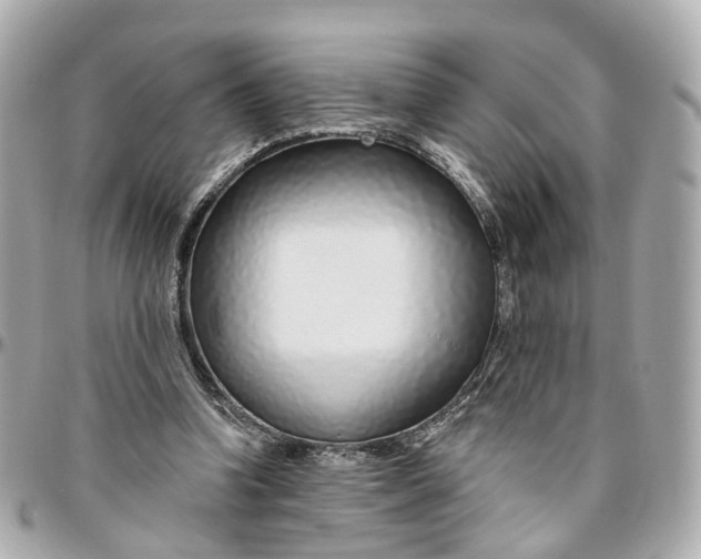 X0000095920346200802011218