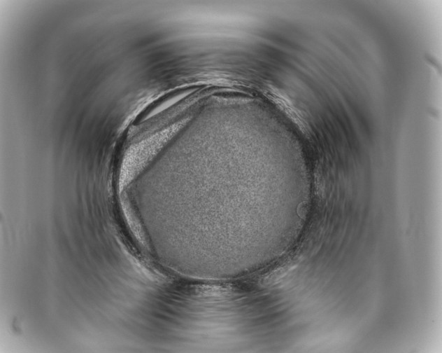 X0000095920347200802011218