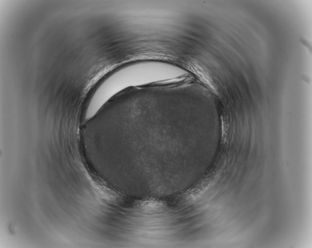 X0000095920348200802011218