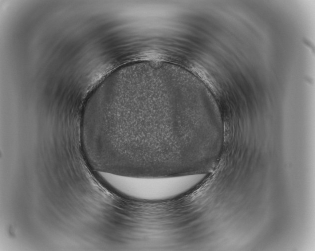 X0000095920349200802011218