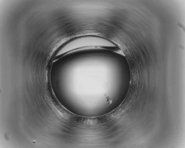 X0000095920350200802011218