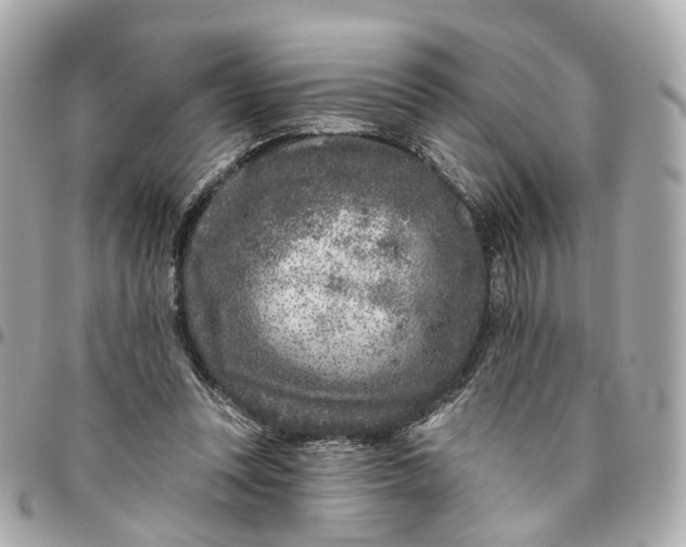 X0000095920351200802011218