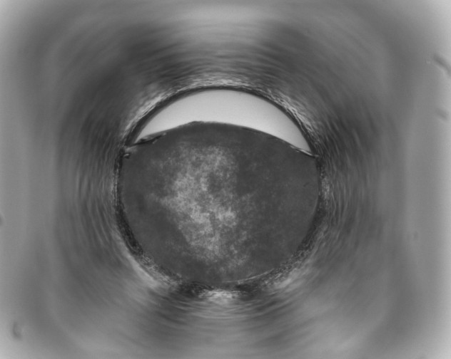 X0000095920352200802011218