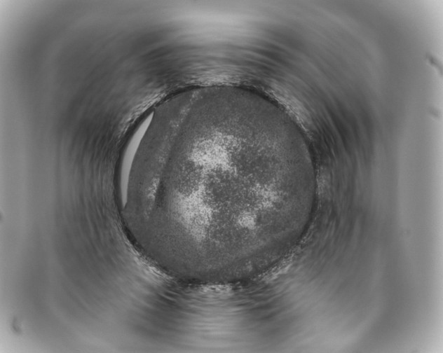 X0000095920353200802011218