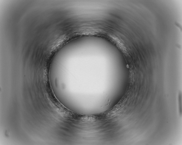 X0000095920354200802011218