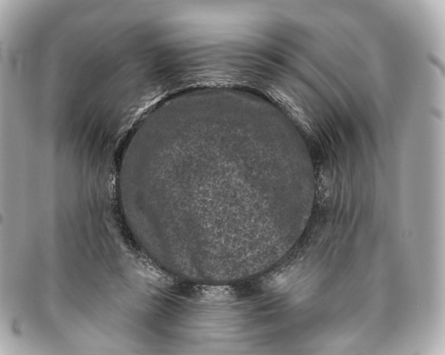 X0000095920355200802011218