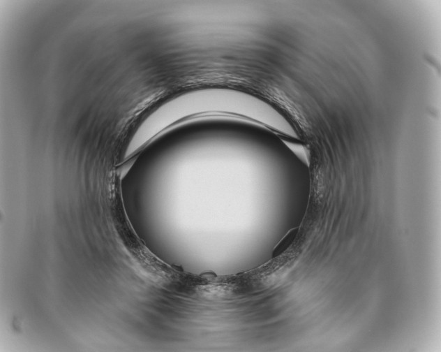 X0000095920356200802011218