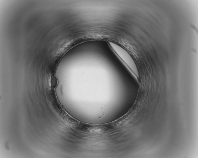 X0000095920358200802011218