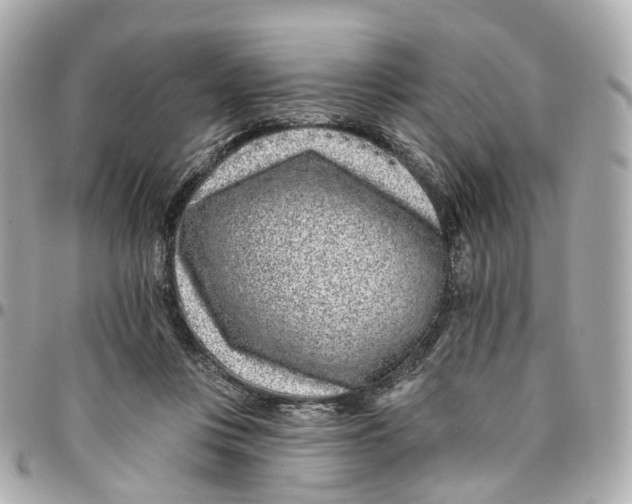 X0000095920359200802011218