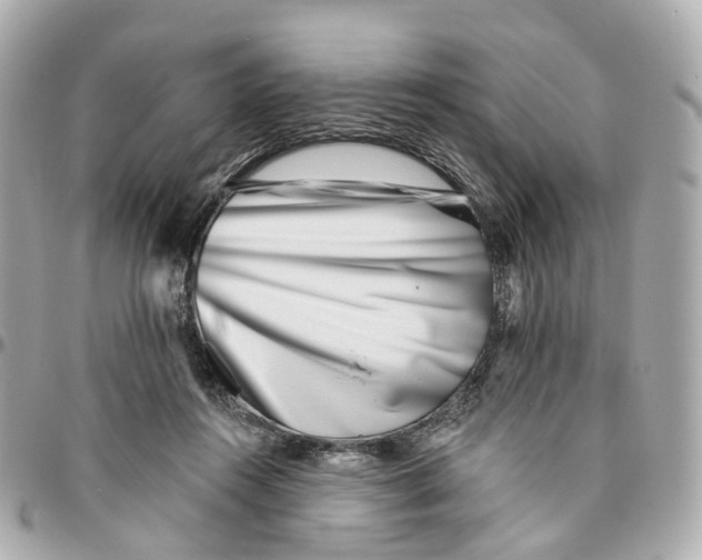 X0000095920360200802011218